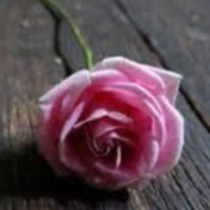 Meet your Posher, Elianna